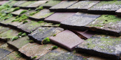 Westwick roof repair costs